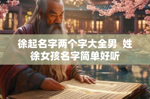 徐起名字两个字大全男  姓徐女孩名字简单好听