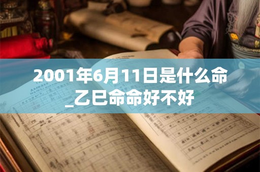 2001年6月11日是什么命_乙巳命命好不好