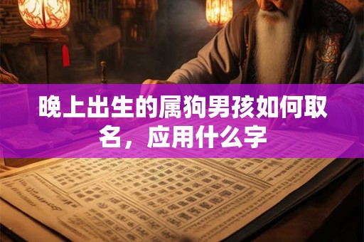 晚上出生的属狗男孩如何取名，应用什么字