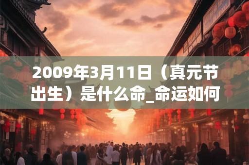 2009年3月11日(真元节出生)是什么命_命运如何 2009年3月11日(真元节出生)是什么命_命运如何