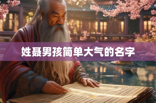 姓聂男孩简单大气的名字 姓聂男孩简单大气的名字