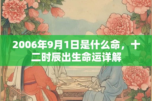 2006年9月1日是什么命，十二时辰出生命运详解
