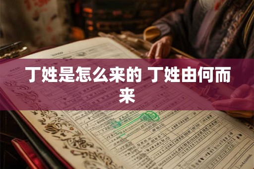 丁姓是怎么来的 丁姓由何而来