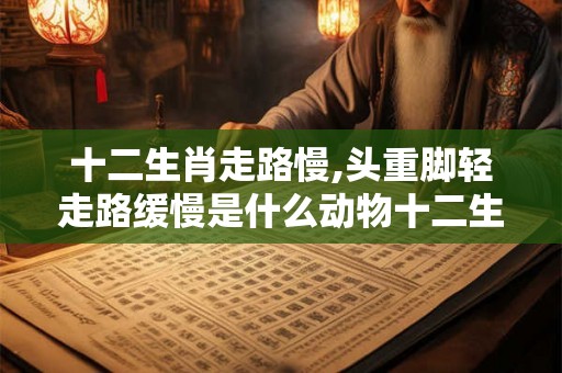 十二生肖走路慢,头重脚轻走路缓慢是什么动物十二生肖