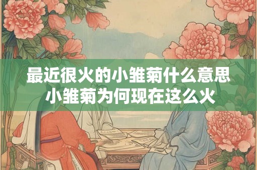 最近很火的小雏菊什么意思 小雏菊为何现在这么火