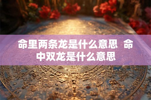 命里两条龙是什么意思  命中双龙是什么意思