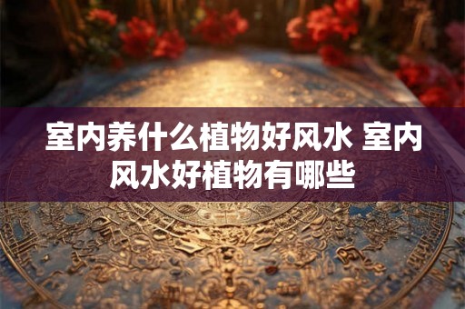 室内养什么植物好风水 室内风水好植物有哪些 室内养什么植物好风水 室内风水好植物有哪些