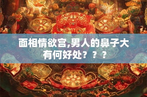 面相情欲宫,男人的鼻子大 有何好处??? 面相情欲宫,男人的鼻子大 有何好处???