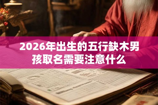 2026年出生的五行缺木男孩取名需要注意什么