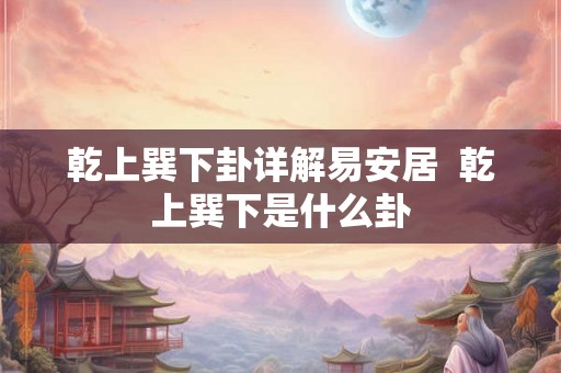 乾上巽下卦详解易安居  乾上巽下是什么卦