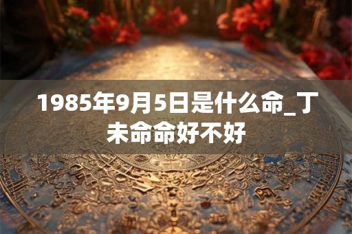 1985年9月5日是什么命_丁未命命好不好