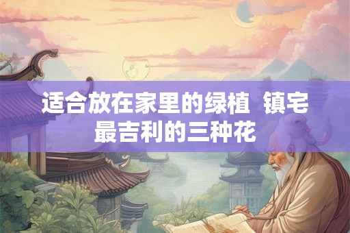 适合放在家里的绿植  镇宅最吉利的三种花