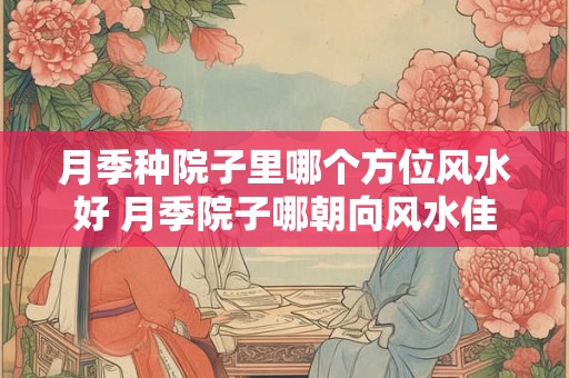 月季种院子里哪个方位风水好 月季院子哪朝向风水佳