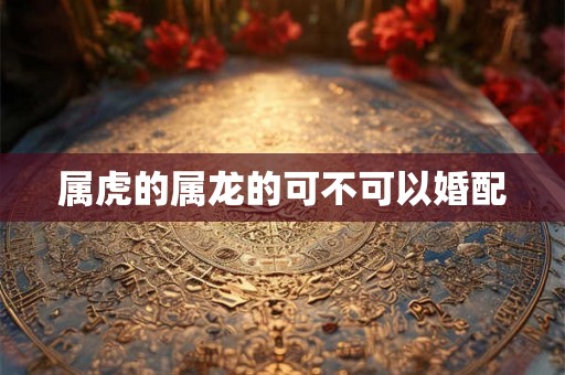 属虎的属龙的可不可以婚配