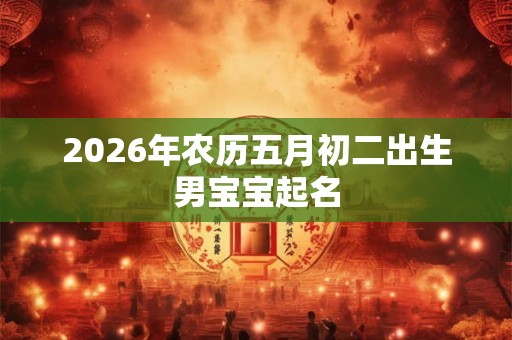 2026年农历五月初二出生男宝宝起名