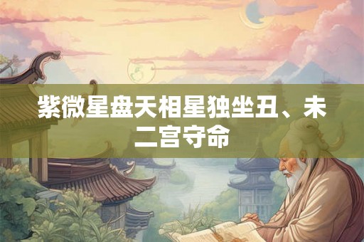 紫微星盘天相星独坐丑、未二宫守命