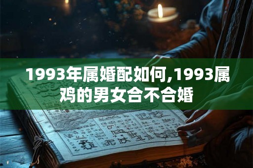 1993年属婚配如何,1993属鸡的男女合不合婚