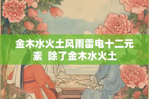 金木水火土风雨雷电十二元素  除了金木水火土