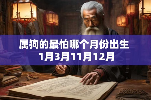 属狗的最怕哪个月份出生 1月3月11月12月