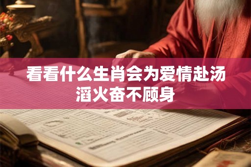 看看什么生肖会为爱情赴汤滔火奋不顾身