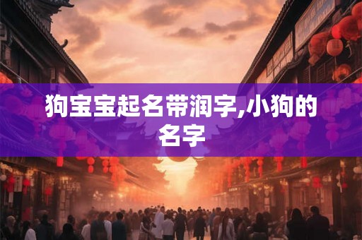 狗宝宝起名带润字,小狗的名字