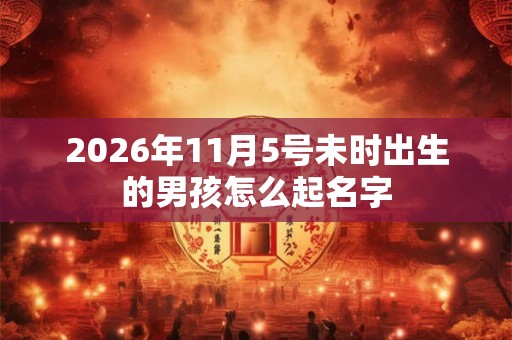 2026年11月5号未时出生的男孩怎么起名字