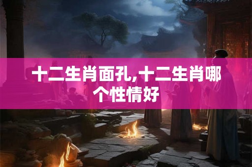 十二生肖面孔,十二生肖哪个性情好