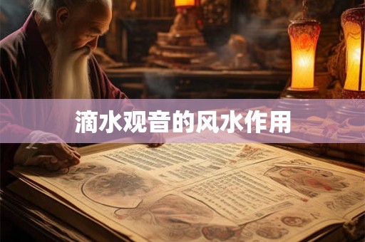 滴水观音的风水作用 滴水观音的风水作用