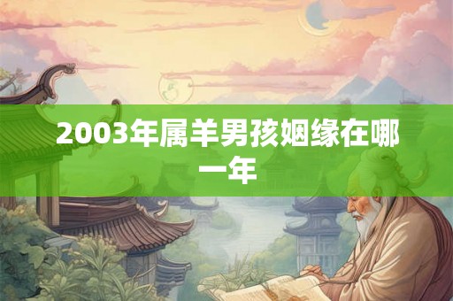 2003年属羊男孩姻缘在哪一年