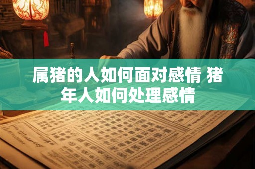 属猪的人如何面对感情 猪年人如何处理感情