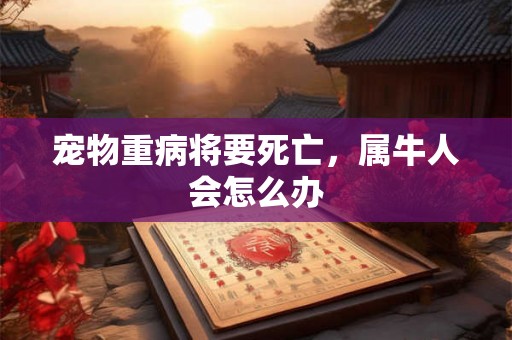 宠物重病将要死亡，属牛人会怎么办