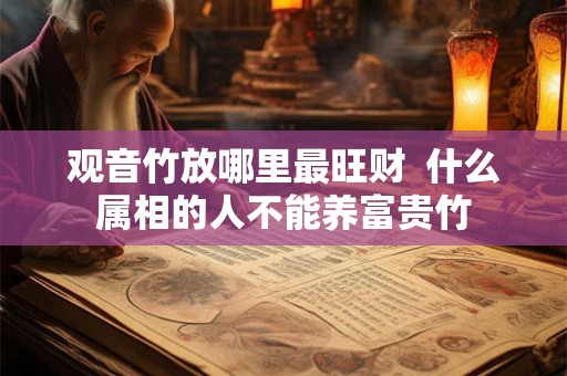 观音竹放哪里最旺财  什么属相的人不能养富贵竹