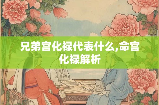 兄弟宫化禄代表什么,命宫化禄解析