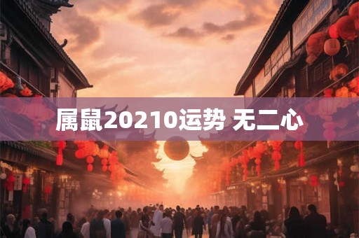 属鼠20210运势 无二心