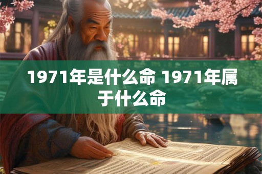 1971年是什么命 1971年属于什么命