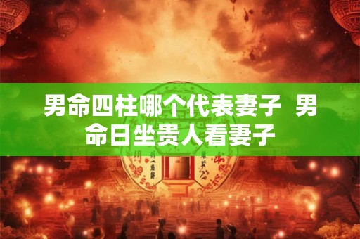 男命四柱哪个代表妻子 男命日坐贵人看妻子 男命四柱哪个代表妻子 男命日坐贵人看妻子