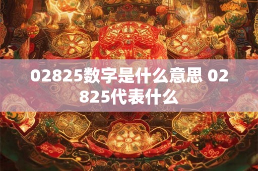 02825数字是什么意思 02825代表什么