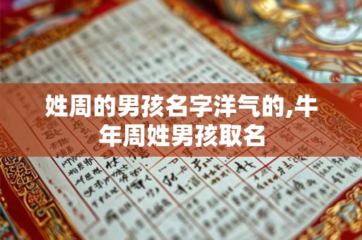 姓周的男孩名字洋气的,牛年周姓男孩取名