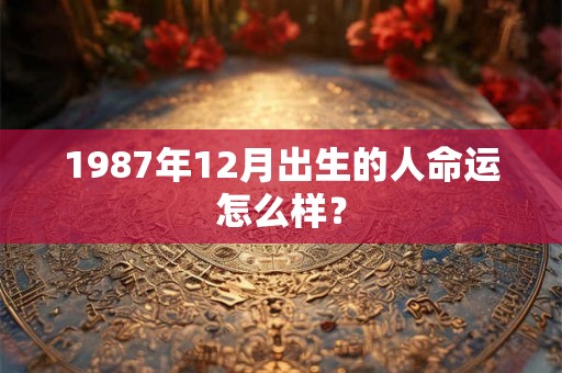 1987年12月出生的人命运怎么样？