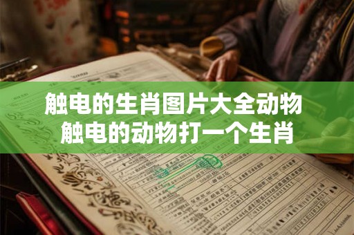 触电的生肖图片大全动物 触电的动物打一个生肖