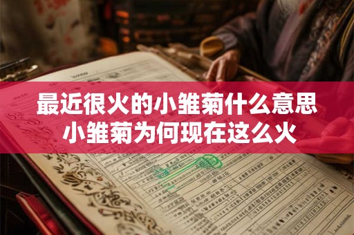 最近很火的小雏菊什么意思 小雏菊为何现在这么火