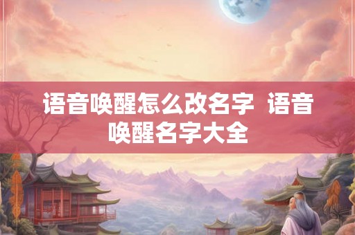 语音唤醒怎么改名字  语音唤醒名字大全