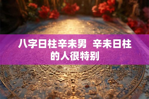 八字日柱辛未男  辛未日柱的人很特别