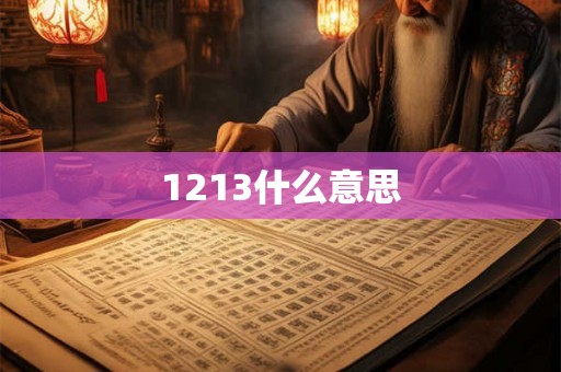 1213什么意思 1213什么意思