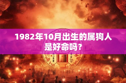 1982年10月出生的属狗人是好命吗? 1982年10月出生的属狗人是好命吗?