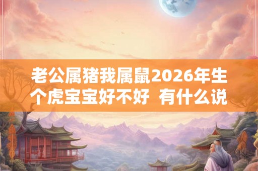 老公属猪我属鼠2026年生个虎宝宝好不好  有什么说法