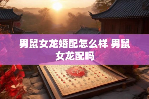 男鼠女龙婚配怎么样 男鼠女龙配吗