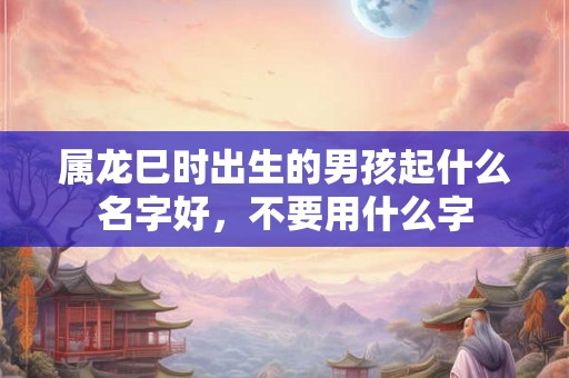 属龙巳时出生的男孩起什么名字好，不要用什么字
