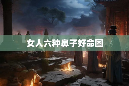 女人六种鼻子好命图