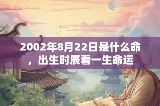 2002年8月22日是什么命，出生时辰看一生命运